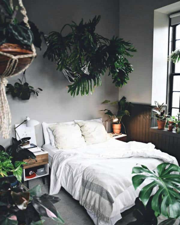 rainforest room ideas
